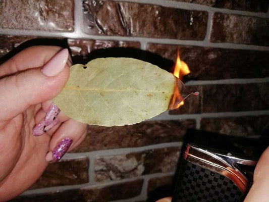 Liść laurowy w Twoim domu – sposób na wyjątkowy klimat